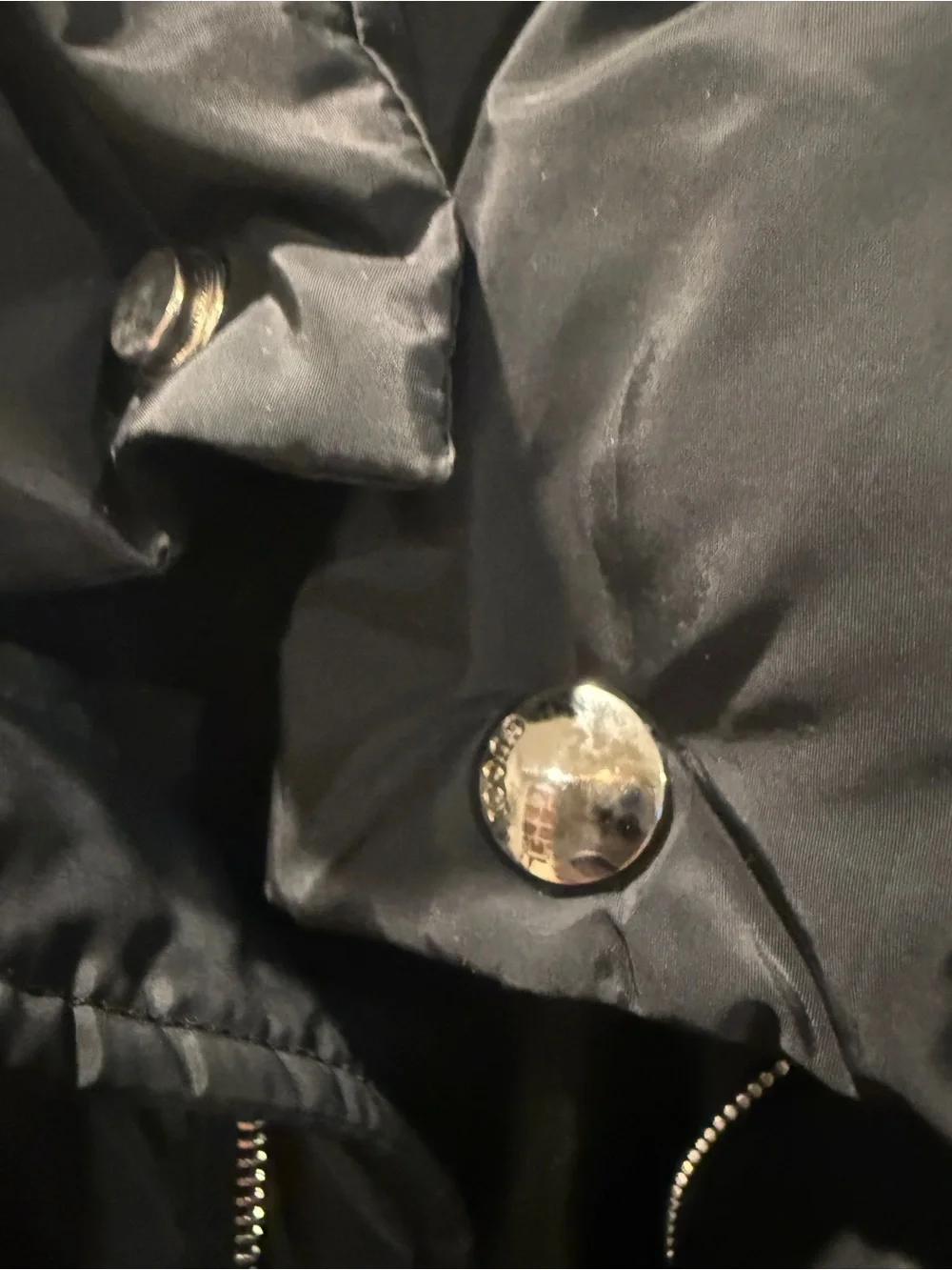 Gucci Black Jacket with Cream Neck Trim